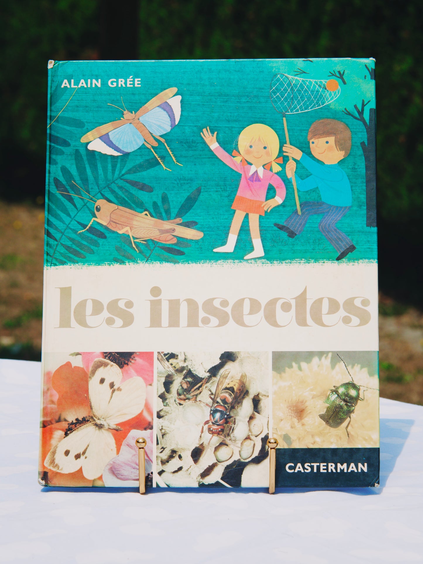 Livre vintage « Les insectes » – Alain Grée (Éditions Casterman)