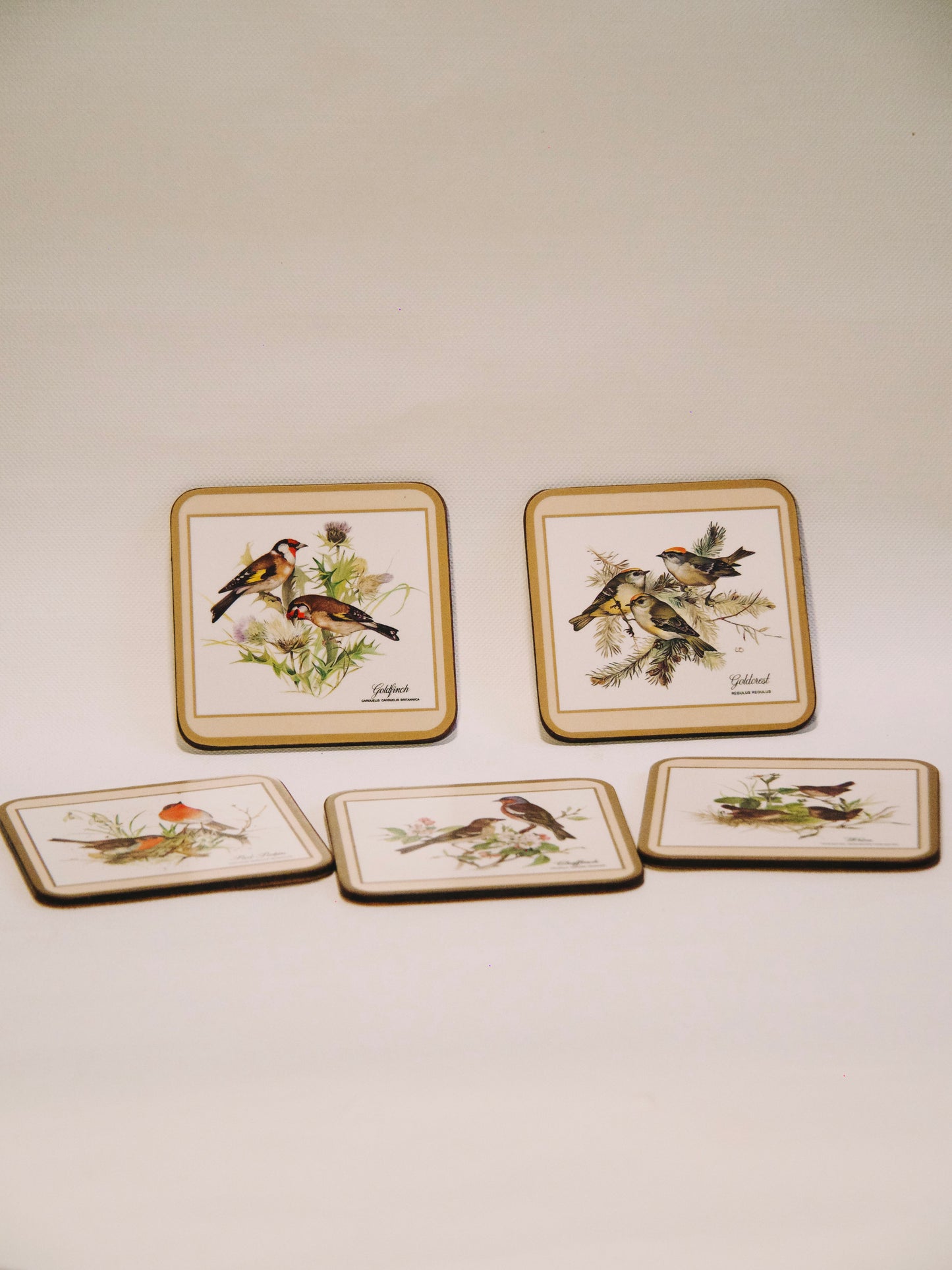 sous-verres oiseaux