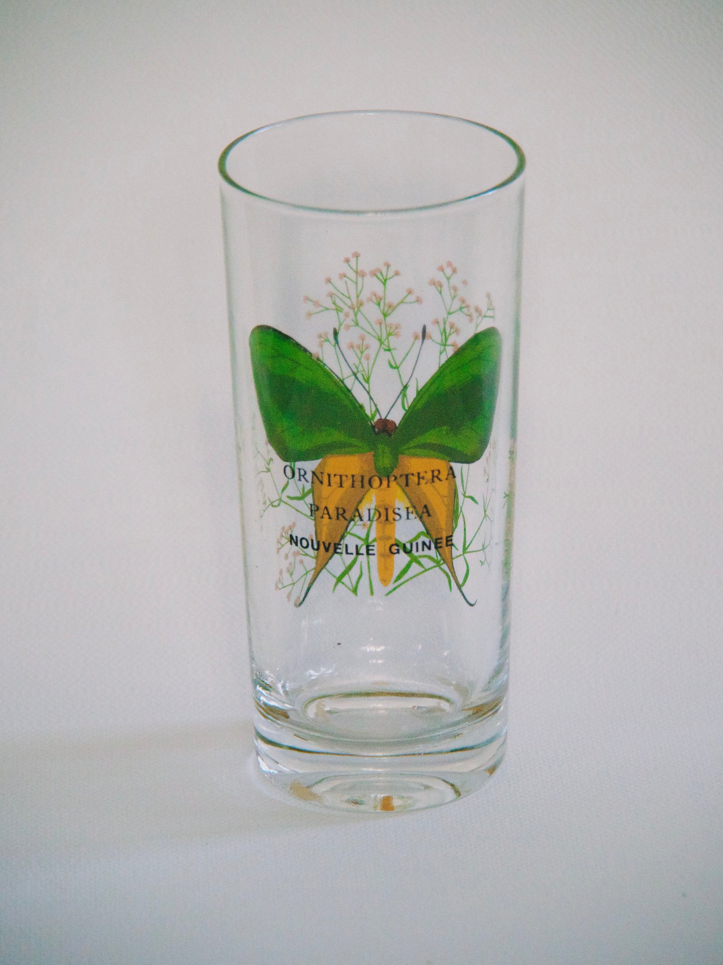 Verre orangeade Papillon vintage