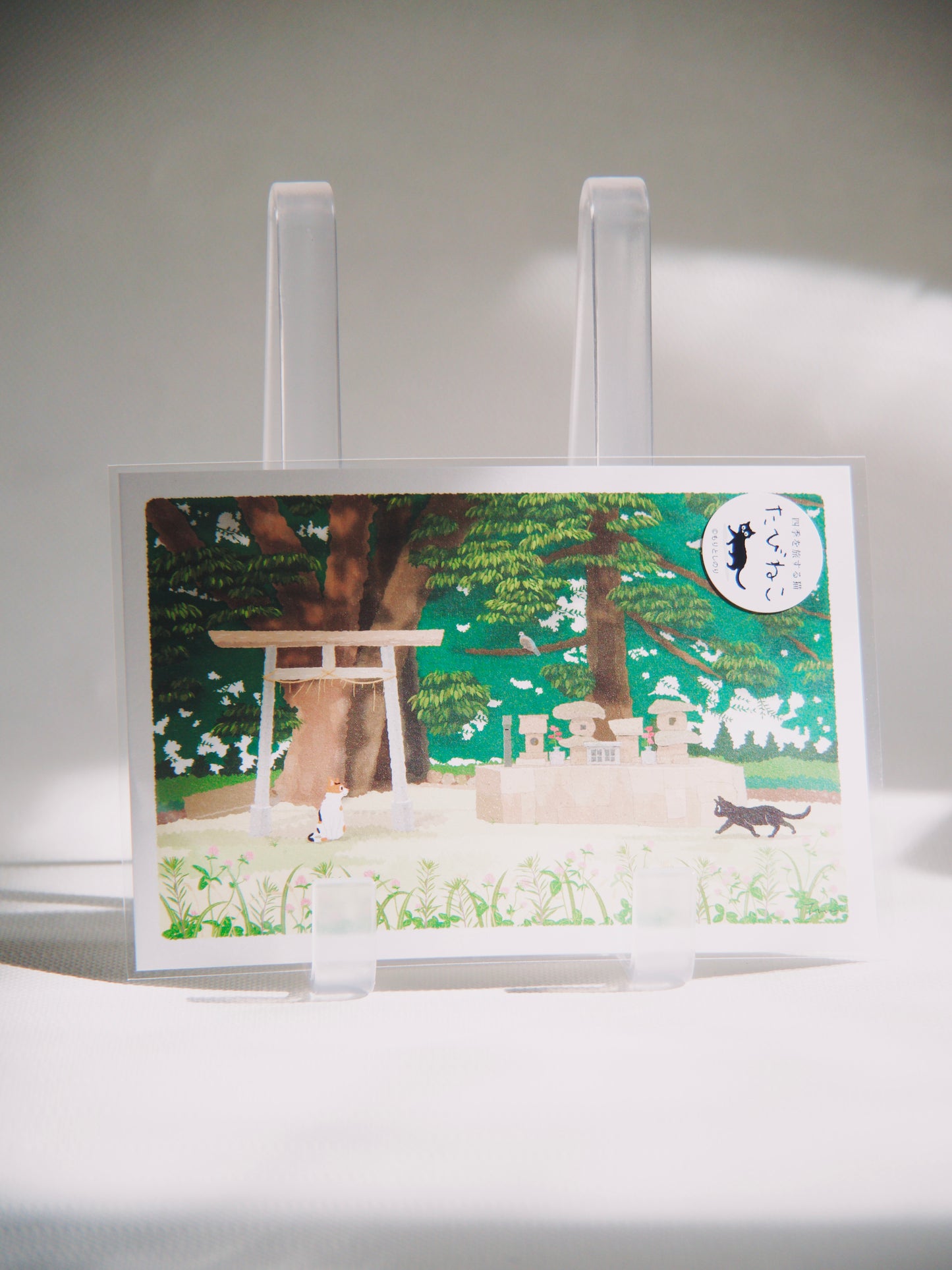 Carte Postale Japonaise Tabineko – Chats au Sanctuaire Shinto