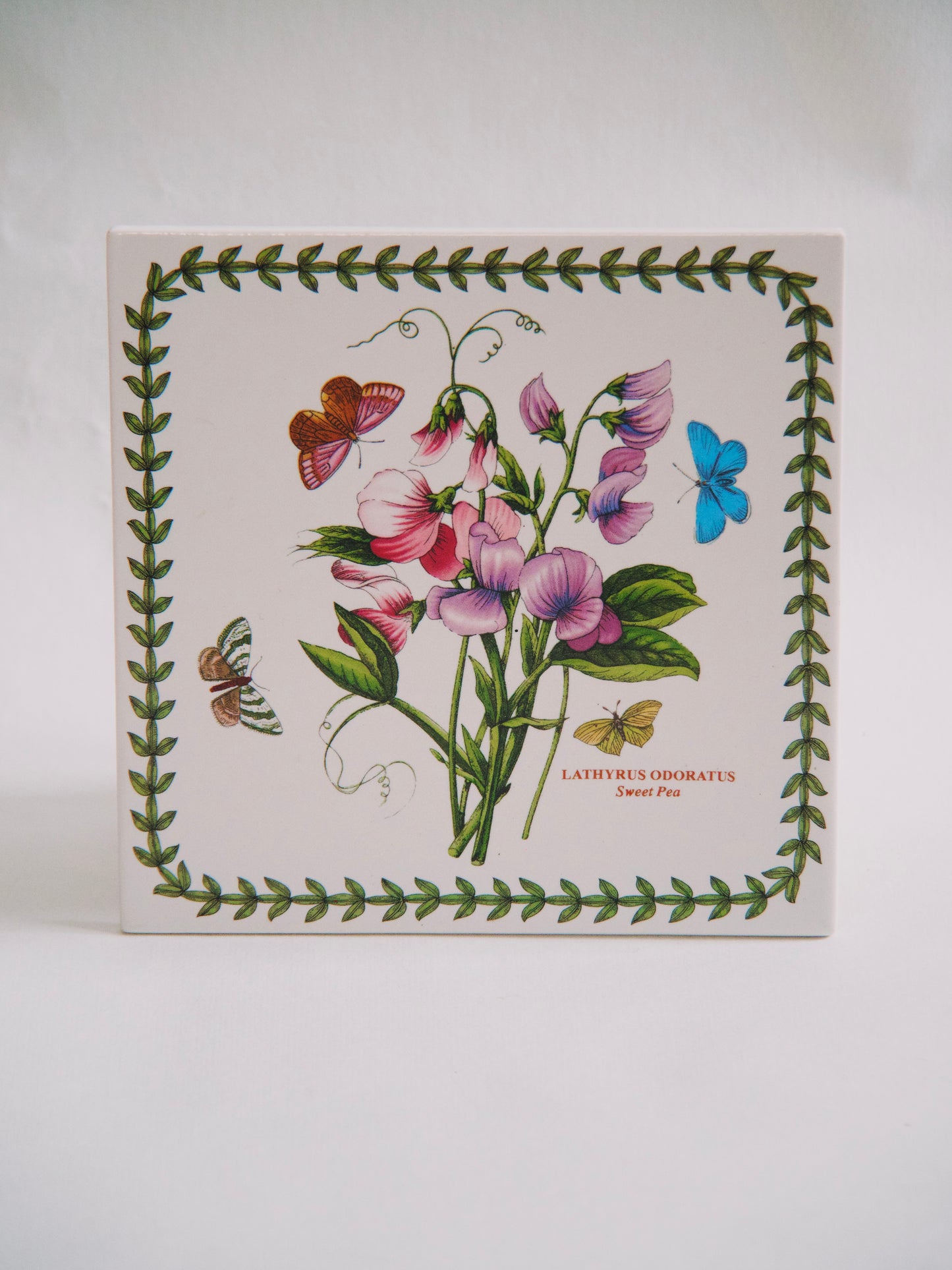 Dessous de plat Botanical Garden