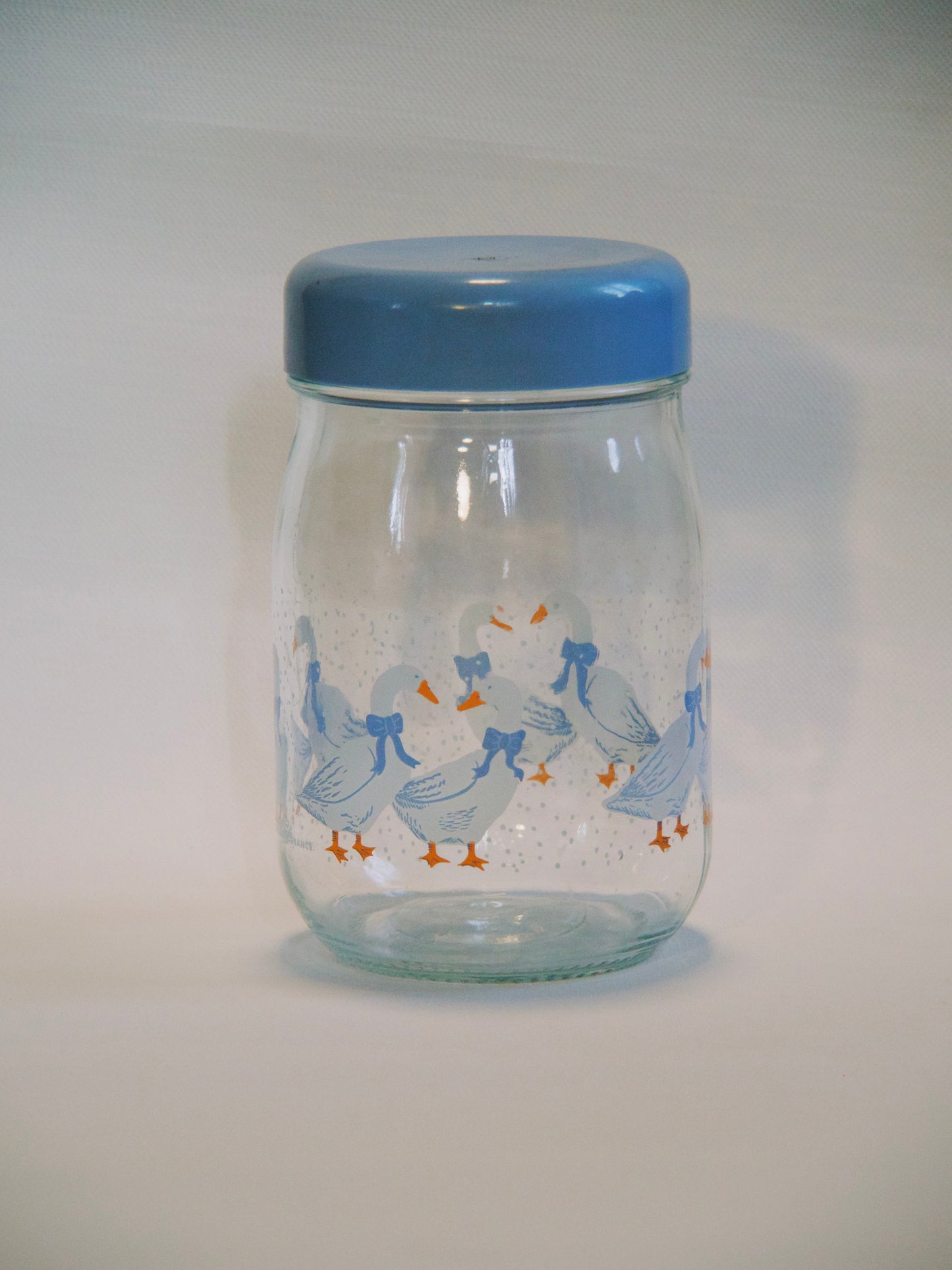 Bocal conservation oies vintage