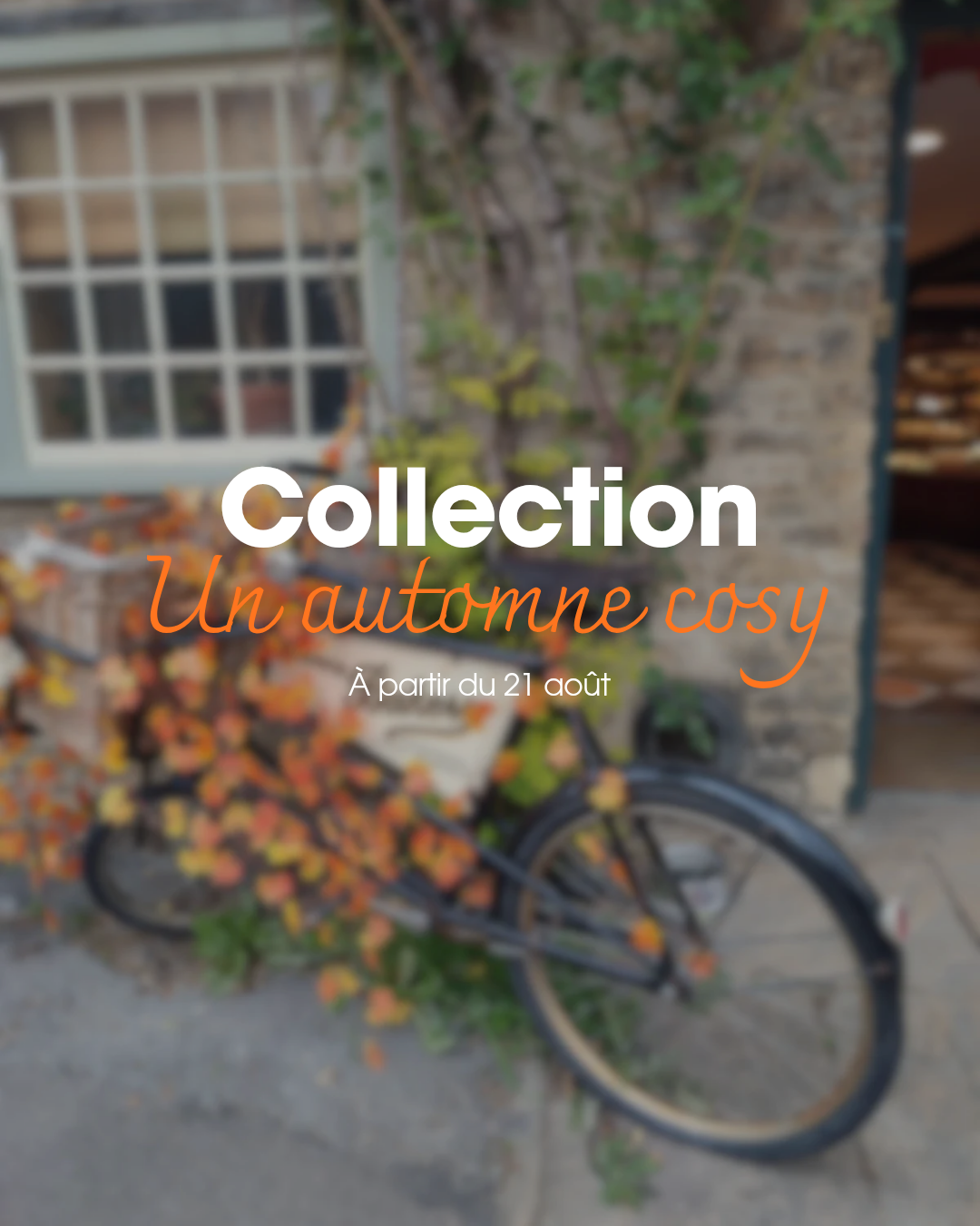 Un automne cosy