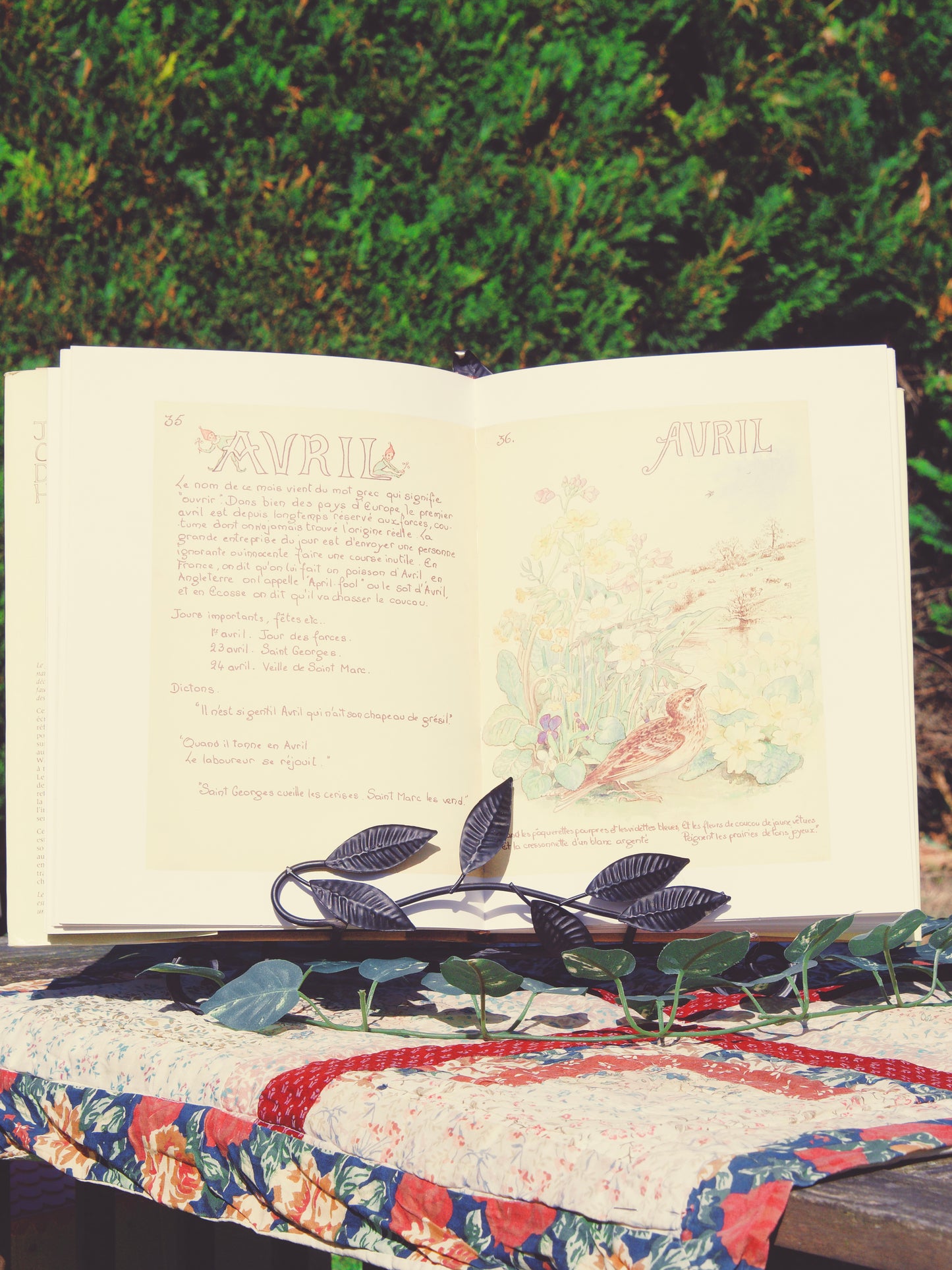 Journal champêtre d'Edith Holden