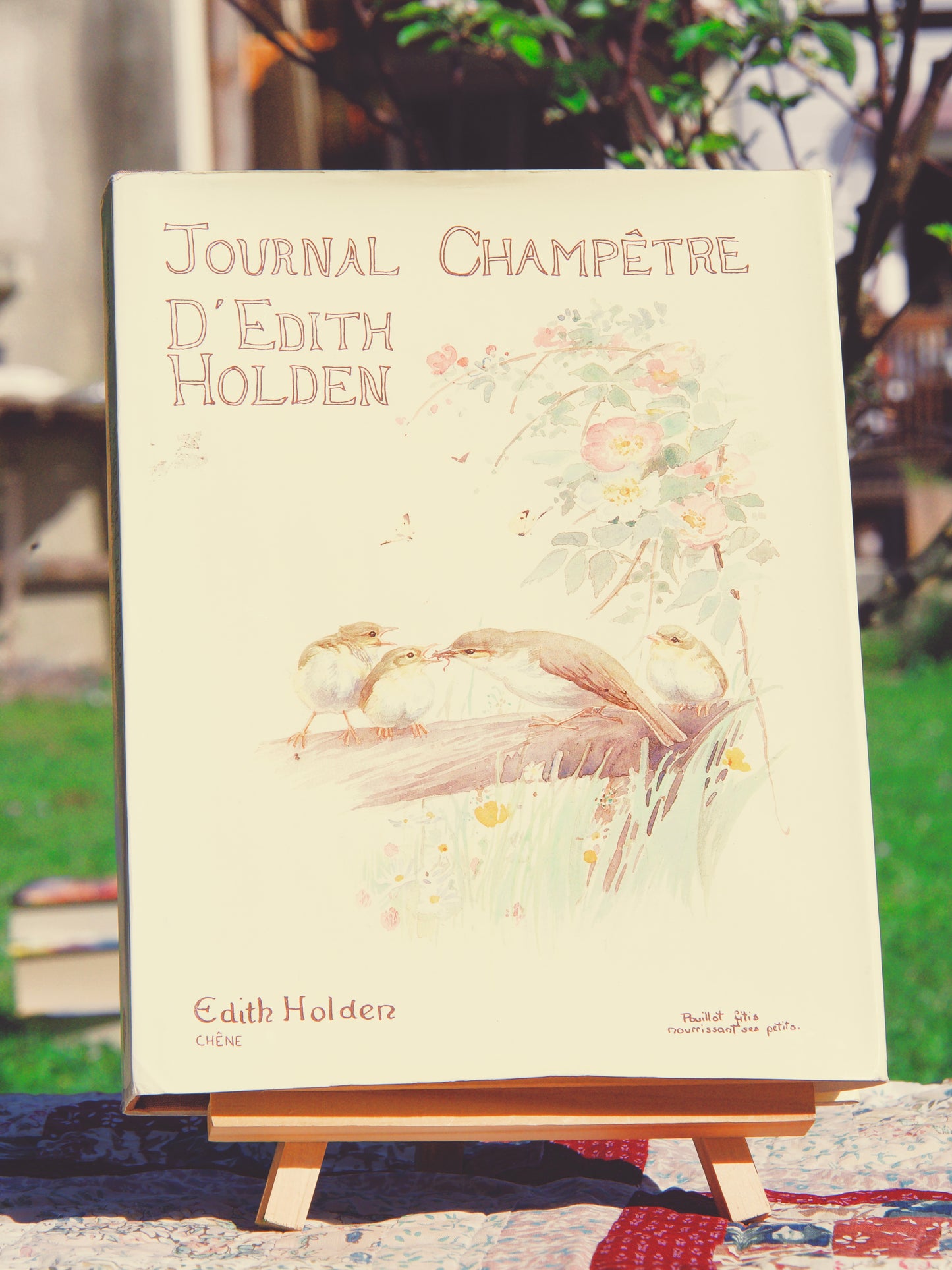 Journal champêtre d'Edith Holden