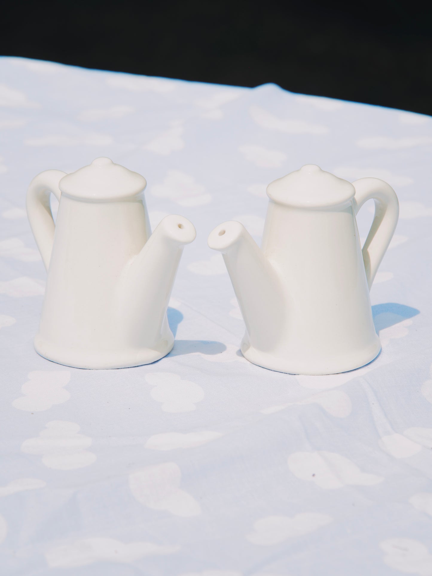 Duo salière et poivrière vintage en céramique blanche – Forme cafetières / théières rétro