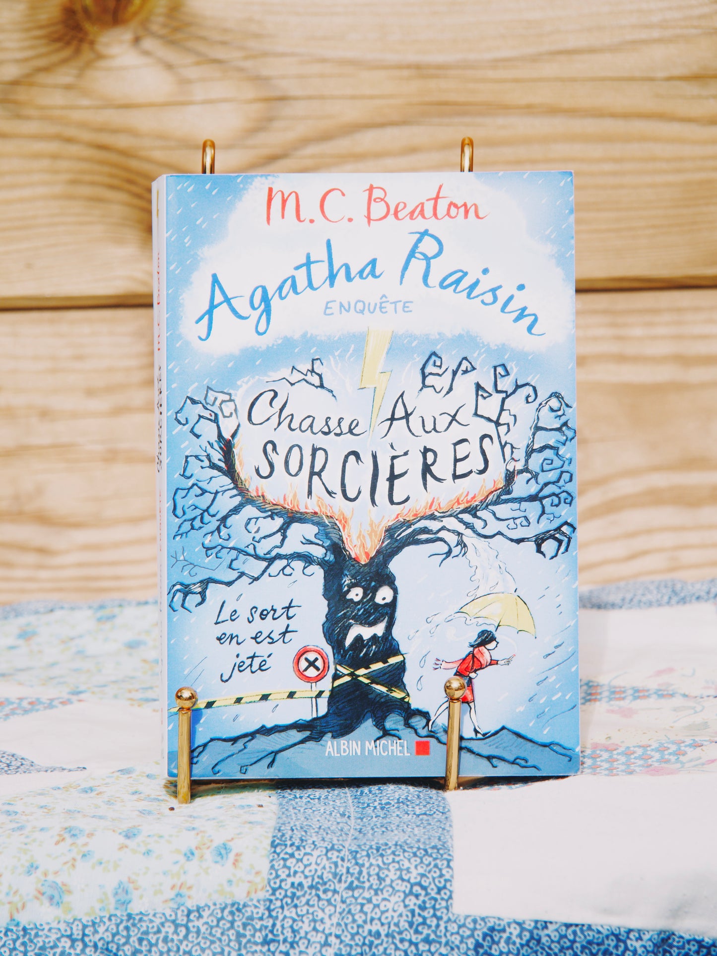 Agatha Raisin - Chasse aux sorcières