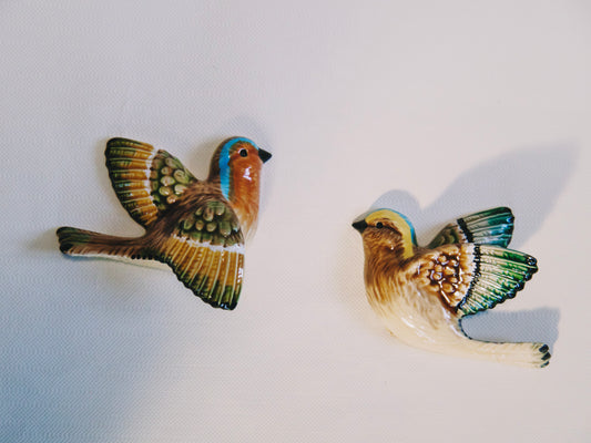 duo d'oiseaux muraux en céramique