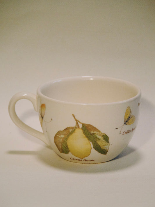 Tasse Wedgwood Sarah's Garden