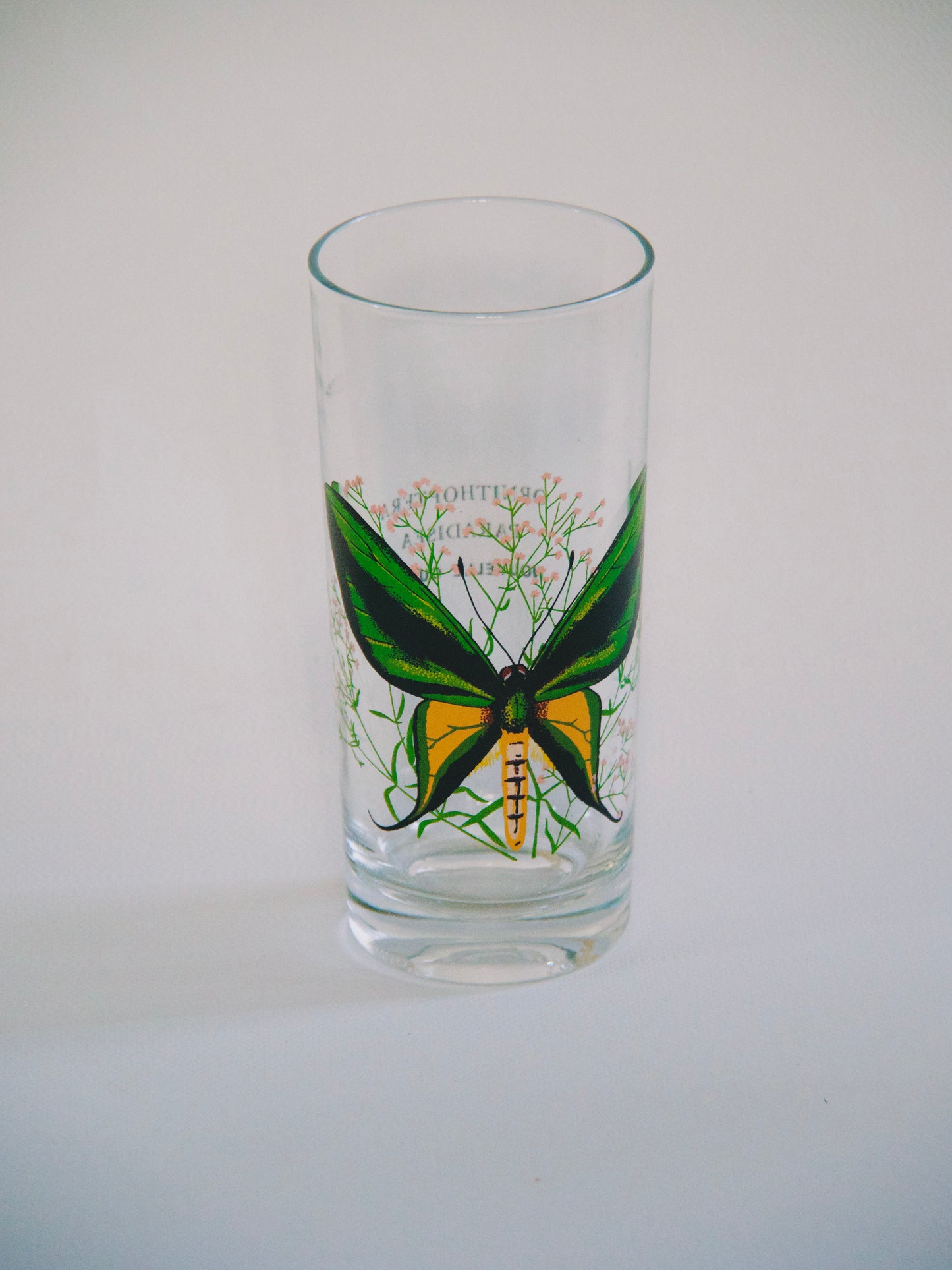 Verre orangeade Papillon vintage