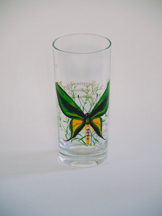 Verre orangeade Papillon vintage