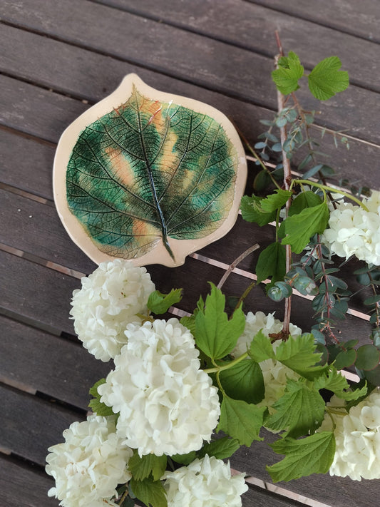 Vide poche végétal #1