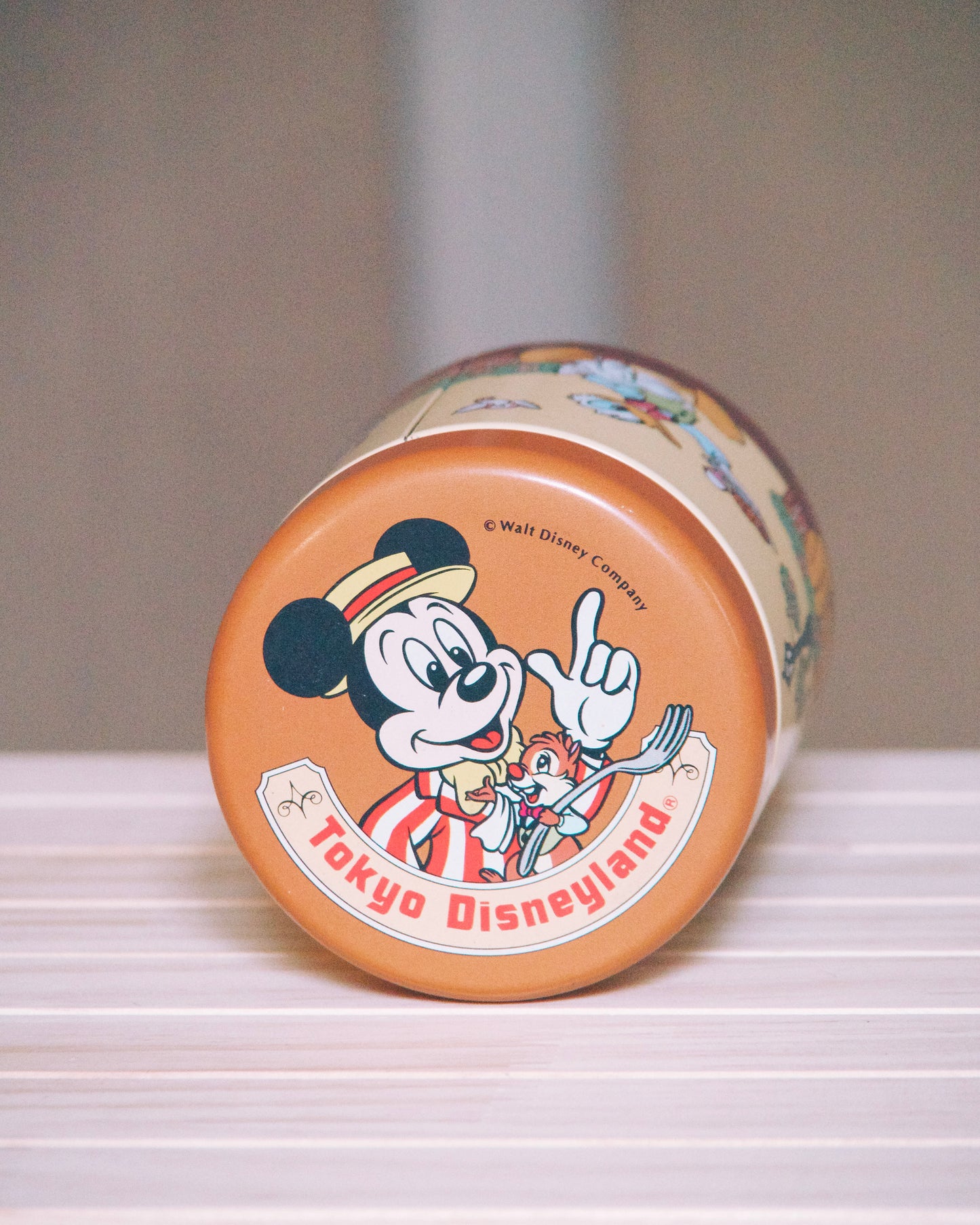 Boîte en métal de bonbons Tokyo Disneyland