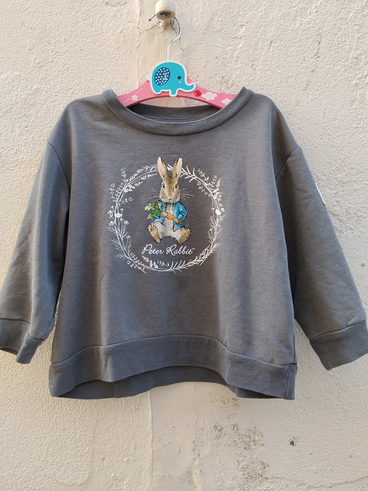 Sweat shirt Peter Rabbit taille enfant 3 ans