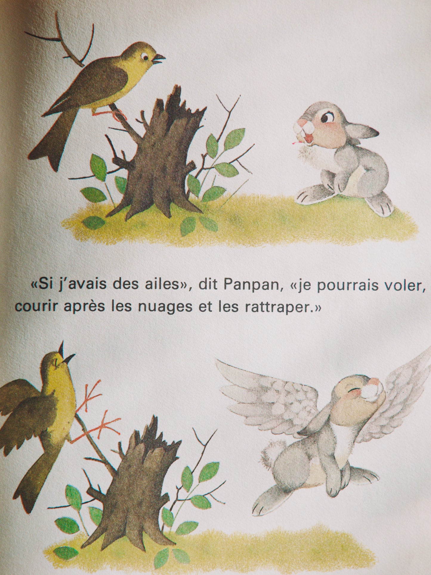 Bambi perdu et retrouvé