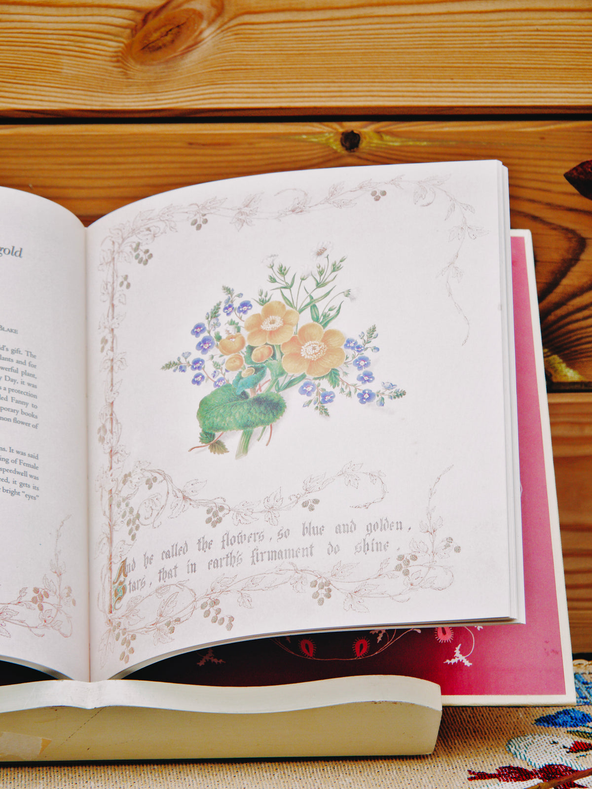 Livre Illustré Vintage "The Country Flowers of a Victorian Lady" – Fanny Robinson / V&A Museum
