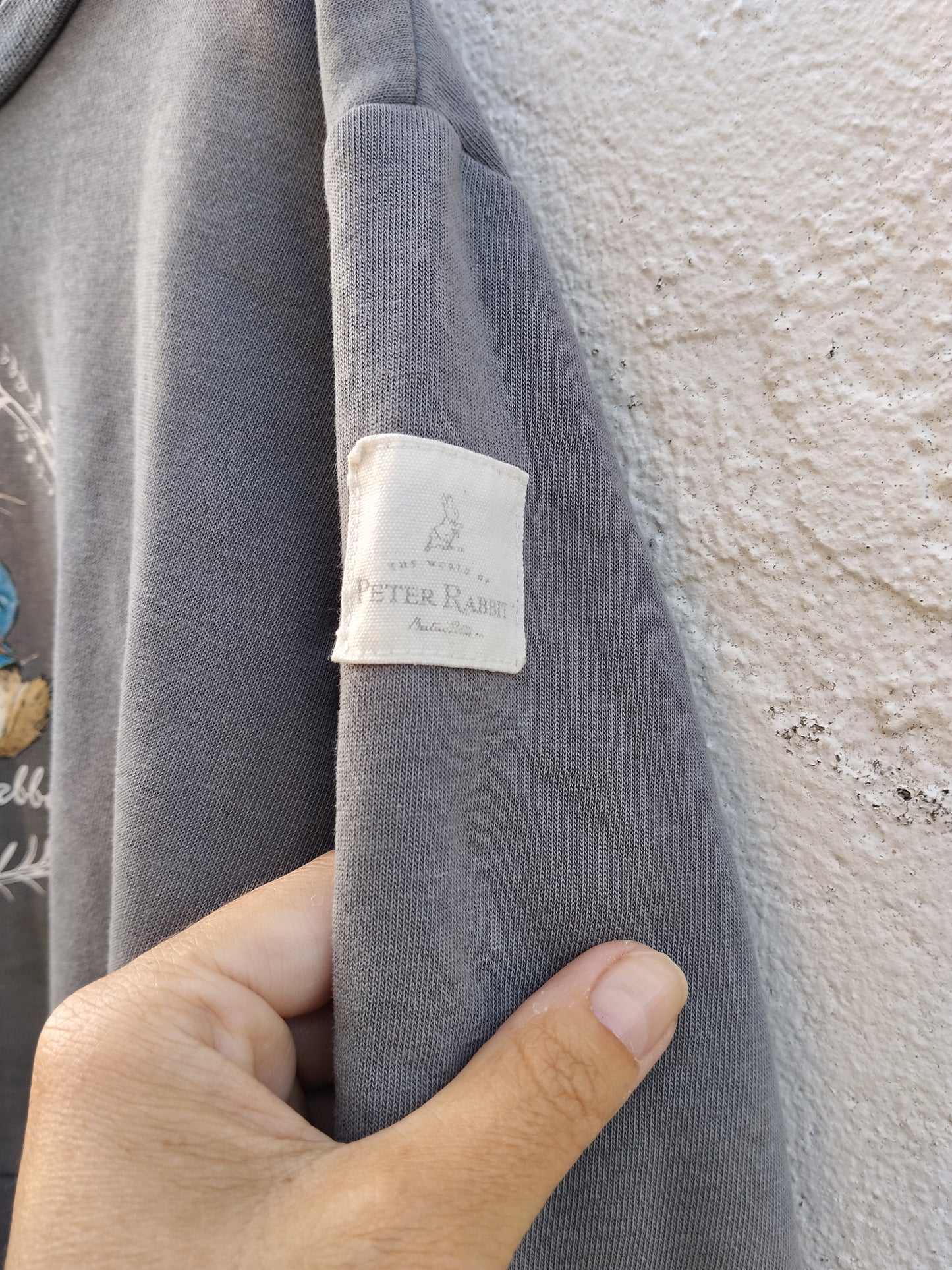 Sweat shirt Peter Rabbit taille enfant 3 ans