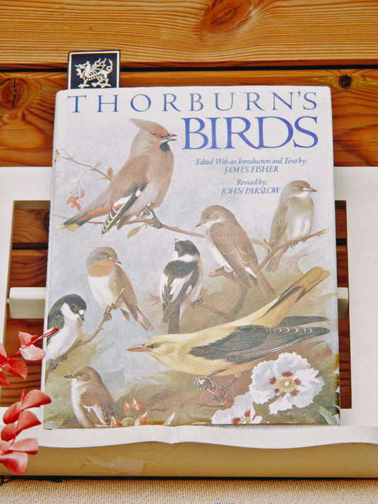 Beau Livre d'Ornithologie Vintage "Thorburn's Birds" – Illustrations Botaniques et Animales