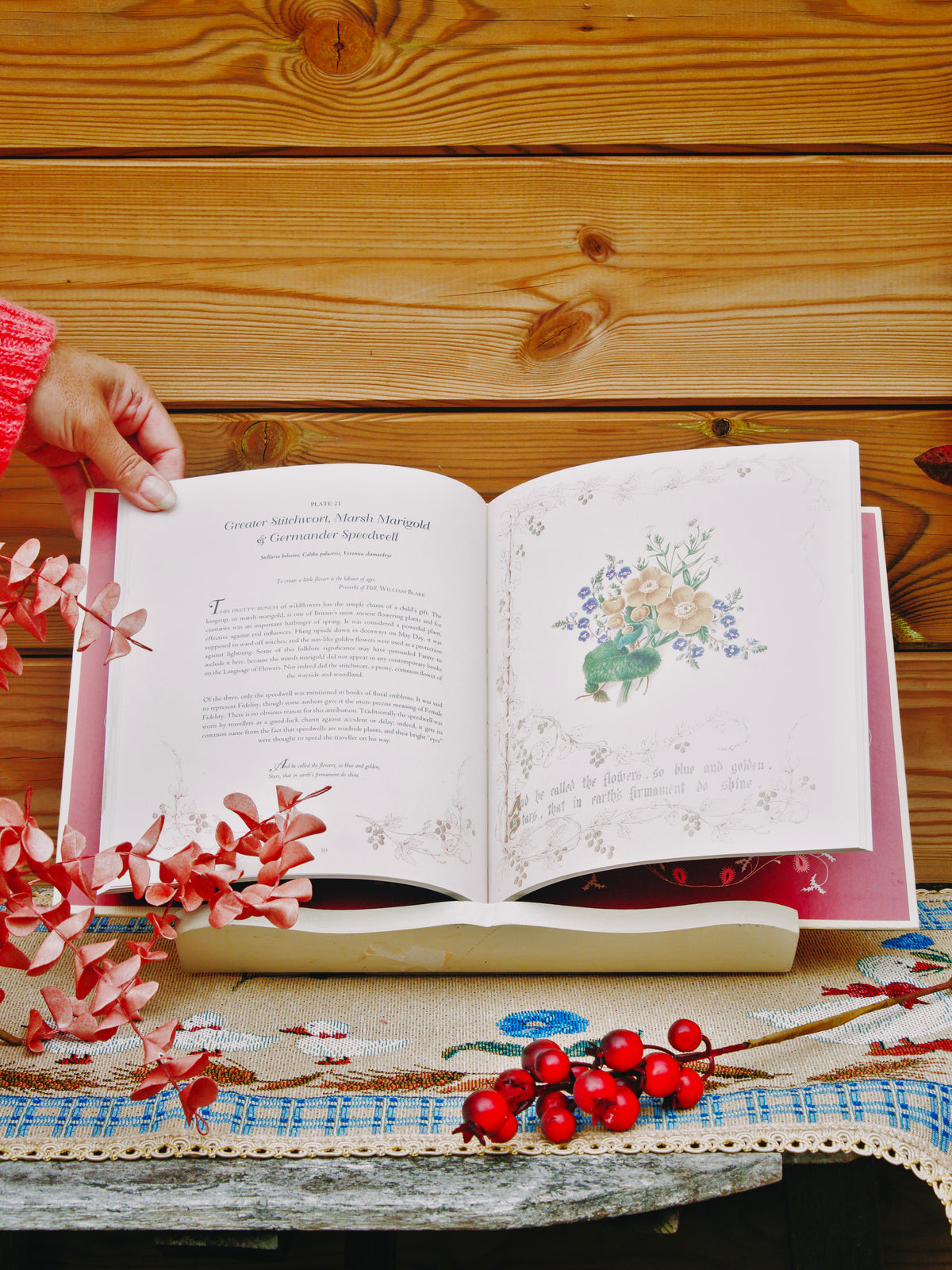 Livre Illustré Vintage "The Country Flowers of a Victorian Lady" – Fanny Robinson / V&A Museum